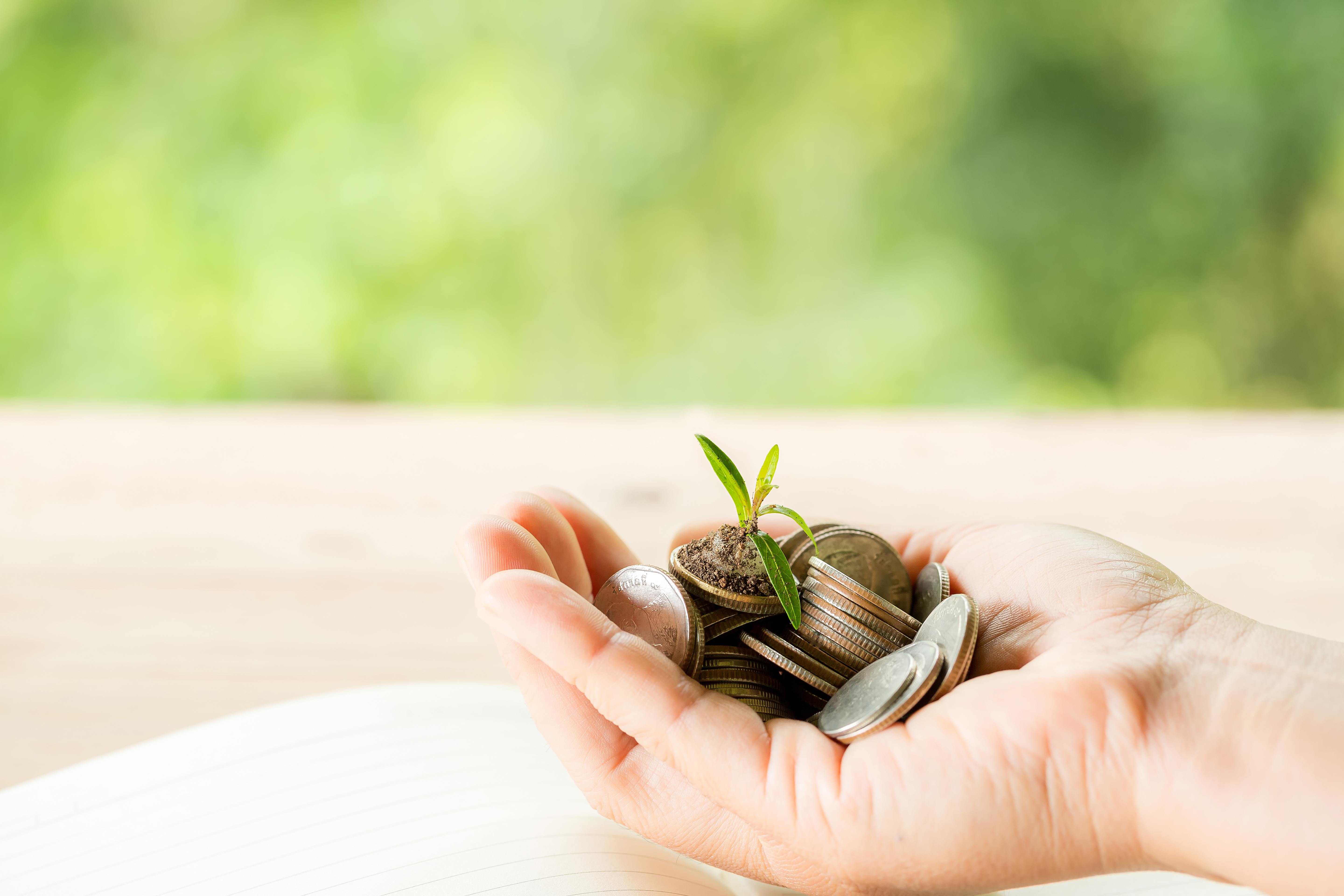 Las 10 mejores estrategias ecológicas para ahorrar en grande este 2024